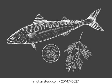 Sea fish mackerel with lemon and dill on a black background. Cooking delicious food. Vector chalk illustration hand drawn