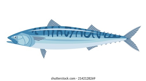 Sea fish mackerel. Underwater marine life. Cooking delicious food. Flat vector illustration isolated on a white background