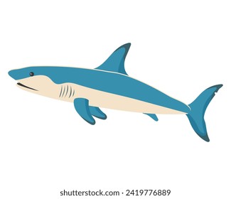 Sea fish, ocean shark. Zoological concept. Sea animals illustration, vector