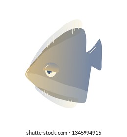 Sea fish on white background. Water life.
