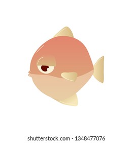 Sea fish on white background. Water life.