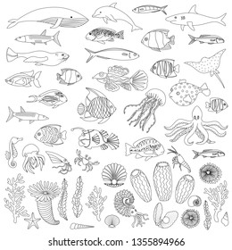 Sea Fish and Plants Coloring Outline Set