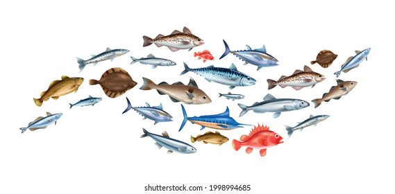 Sea fish realistic concept with different species symbols vector illustration