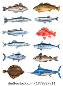 Sea fish realistic set with different types symbols isolated vector illustration