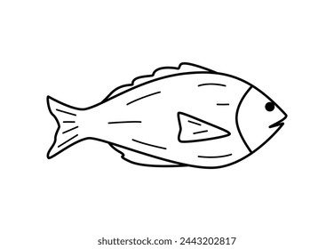 Sea fish or river doodle icon. Vector illustration of a carp, dorado, isolated on white.