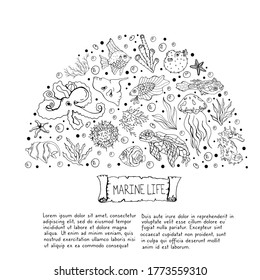 Sea fish, seaweed, turtle, octopus on a white background.Marine life. Vector isolated illustration with a set of marine life.  Design of postcards and banners.  Cafe menu design. 