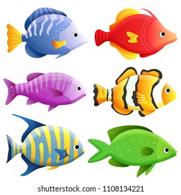 sea fish set