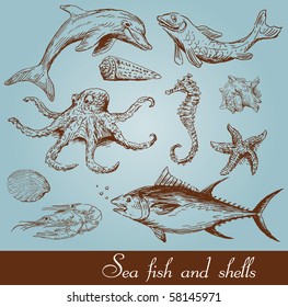 sea fish set