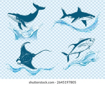 Sea fish set. Different types of sea fish and blue splashes of waves