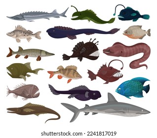 Sea fish set. Marketable saltwater fishes, salmon, sea bass, sterlet, seabass, seabass, etc cartoon vector