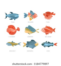 Sea fish set, tuna, salmon, fugu, flounder, dorado, sea bass, anchovy, mackerel, hake vector Illustrations on a white background