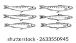 sea fish, sprat, herring, mackerel, little fish doodle hand drawn icon. Outline drawing sea fish, herring, mackerel, little fish line clipart symbol. Vector illustration
