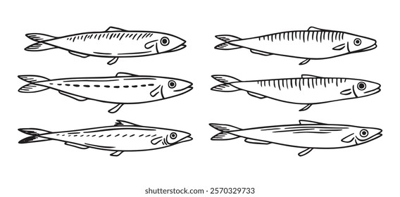 sea fish, sprat, herring, mackerel, little fish doodle hand drawn icon. Outline drawing sea fish, herring, mackerel, little fish line clipart symbol. Vector illustration