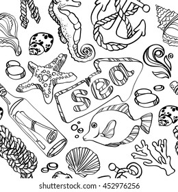 Sea Shell Collection Vector Hand Drawn Stock Vector (Royalty Free ...