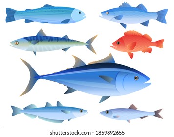 Sea fish. Tuna, Salmon, Mackerel, trout, perch, herring, cod. Isolated vector illustration