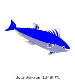 Sea Fish Tuna Fish Scientific Name Thunnus Thynnus