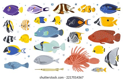 Seefisch, Vektorsymbol.Tropischer Ozean Unterwasser Wildtier Set. Aquarium fischt flach einzelne Illustration.