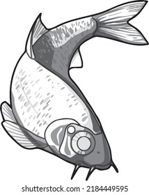 Sea fish vector. Hand-drawn illustration. For a book or encyclopedia. Elegant drawing in shades of gray.