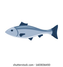 Sea fish vector icon.Cartoon vector icon isolated on white background sea fish.