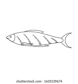 Sea fish vector icon.Outline,line vector icon isolated on white background sea fish.