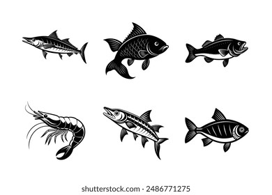 Sea fish vector illustration. fish vector