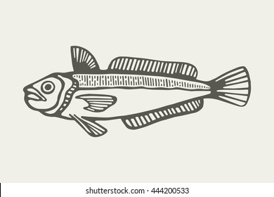 sea fish vector illustration