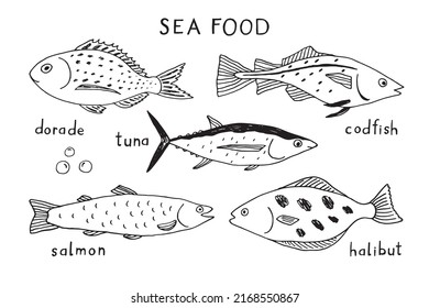 Sea fish vector line illustrations set