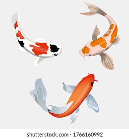 Sea Fish Vector Png Image