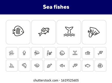 Sea fishes icon set. Seaanimal concept. Vector illustration can be used for topics like seafood, cuisine, cooking