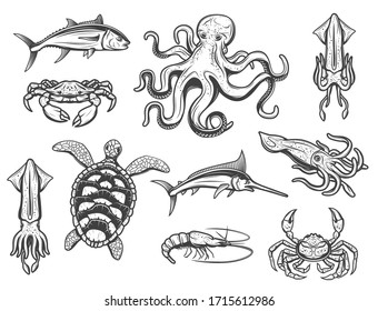 Sea fishes and ocean animals, underwater marine world creatures, vector icons. Octopus, swordfish or marlin and tuna, lobster crab and crayfish, squid and turtle, cuttlefish and shrimp