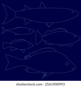 Sea fishes set contour. Marine and freshwater species. Side view. Vector illustration