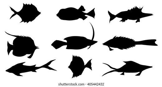 Catfish Collection Stock Vector (Royalty Free) 22259302