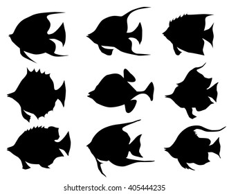 Sea Fishes Set - Vector