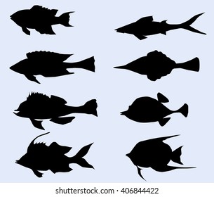 Sea Fishes Set - Vector