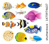 Sea fishes vector flat cartoon illustration. Tropical ocean reef or home aquarium exotic fishes set, isolated on white background. Marine life design elements collection.