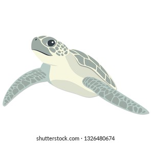 sea ​​turtle flat design icon isolated on white background