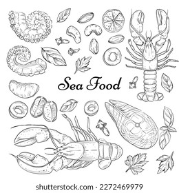 Sea food collection, Hand drawn elements with salmon, cancer, octopus. Vector illustration