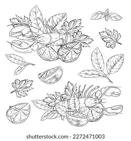 Sea food collection, Hand drawn elements composition with salmon, cancer, octopus, nuts, lemon, citrus. Vector illustration