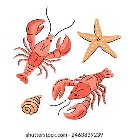 Sea food collection. Сrayfish, seashell and starfish isolated on white background. Vector crayfish illustration in hand-drawn style. 