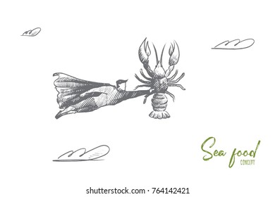 Sea food concept. Hand drawn superhero with big crab in his hand. Flying hero holds delicious seafood isolated vector illustration.