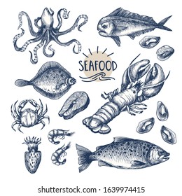 Sea food in the graphic vintage style isolated.