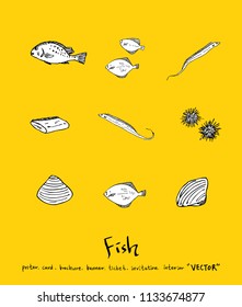 sea food illustrations / Hand drawn food ingredients - vector