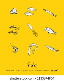 sea food illustrations / Hand drawn food ingredients - vector