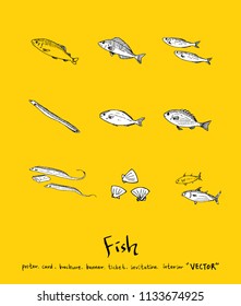sea food illustrations / Hand drawn food ingredients - vector