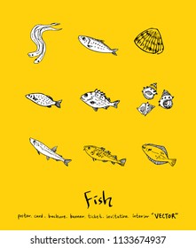 sea food illustrations / Hand drawn food ingredients - vector