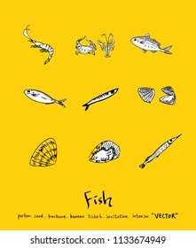 sea food illustrations / Hand drawn food ingredients - vector