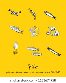 sea food illustrations / Hand drawn food ingredients - vector