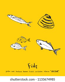 sea food illustrations / Hand drawn food ingredients - vector