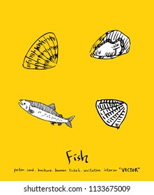 sea food illustrations / Hand drawn food ingredients - vector