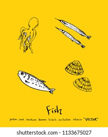 sea food illustrations / Hand drawn food ingredients - vector